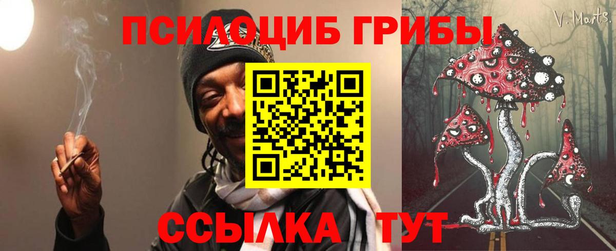 хочу наркоту  Вход с VPN  Алапаевск  Галлюциногенные грибы Cubensis 